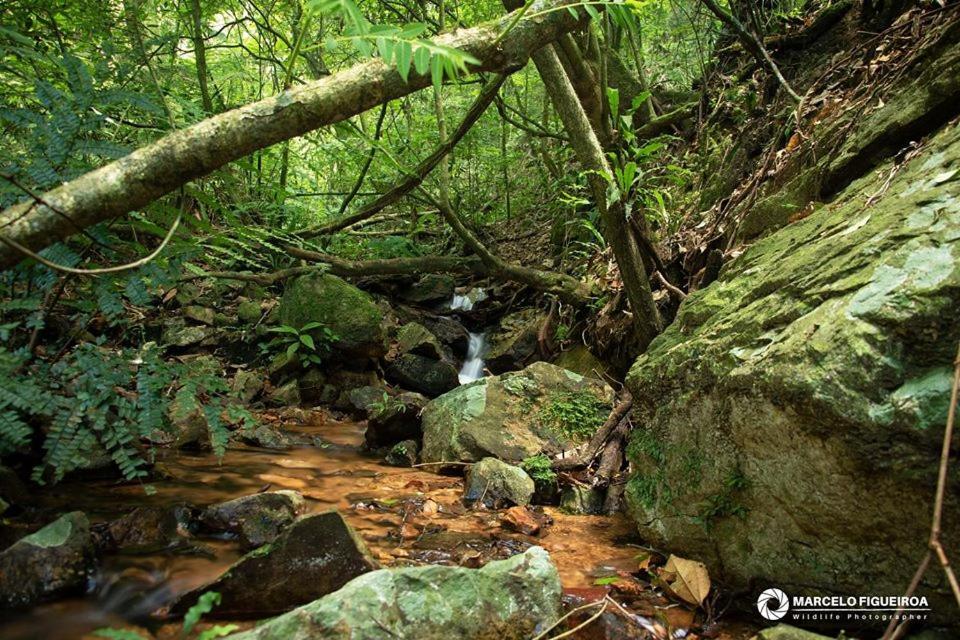 Sitio Serra Das Paineiras Villa Jundiaí Dış mekan fotoğraf