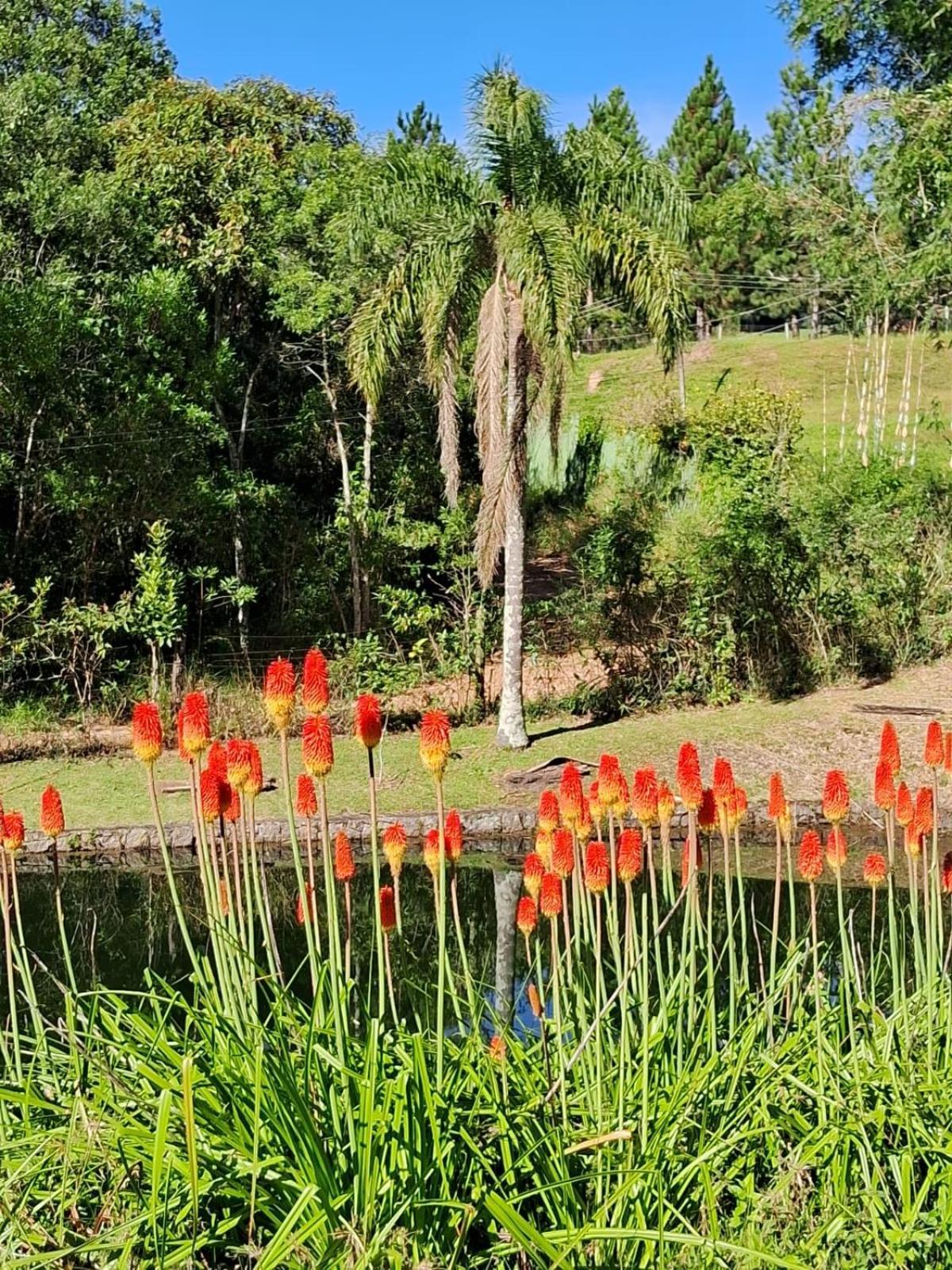 Sitio Serra Das Paineiras Villa Jundiaí Dış mekan fotoğraf